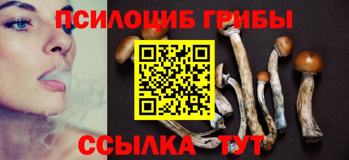 Псилоцибиновые грибы Psilocybine cubensis Миасс