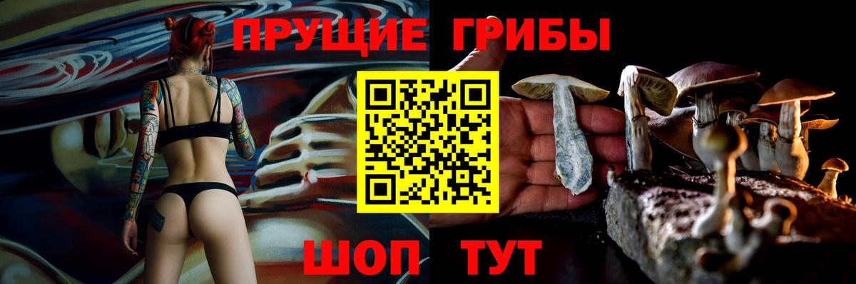 Псилоцибиновые грибы MAGIC MUSHROOMS  Галлюциногенные грибы Magic Shrooms  Вход с VPN  Миасс 
